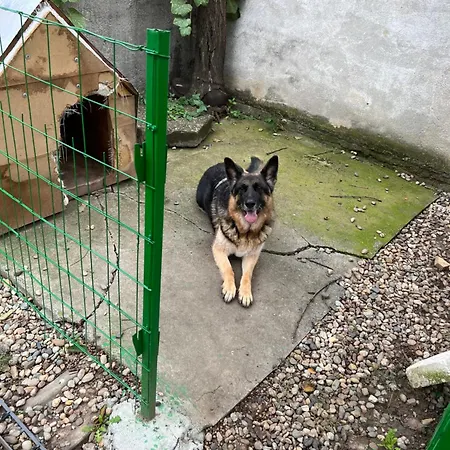 Casa Don Lângă Iulius Mall Timişoara