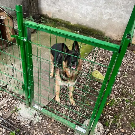 Casa Don Lângă Iulius Mall