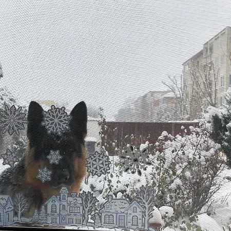 Villa Casa Don Lângă Iulius Mall