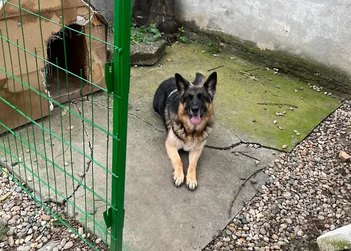 Casa Don Langa Iulius Mall Timişoara