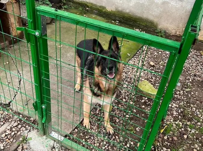 Casa Don Langa Iulius Mall