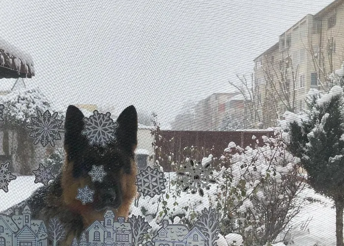 Villa Casa Don Langa Iulius Mall