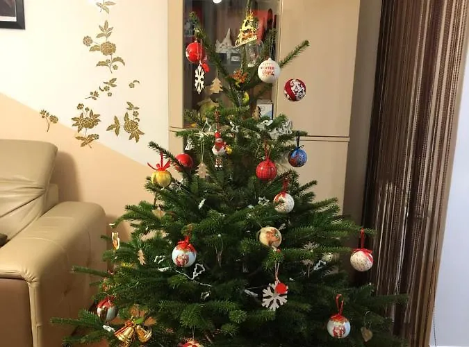 Casa Don Langa Iulius Mall Villa *